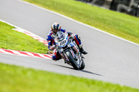 Oulton-Park-21st-March-2020;PJ-Motorsport-Photography-2020;anglesey;brands-hatch;cadwell-park;croft;donington-park;enduro-digital-images;event-digital-images;eventdigitalimages;mallory;no-limits;oulton-park;peter-wileman-photography;racing-digital-images;silverstone;snetterton;trackday-digital-images;trackday-photos;vmcc-banbury-run;welsh-2-day-enduro